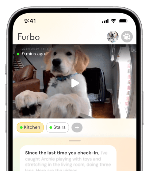 Furbo app interface