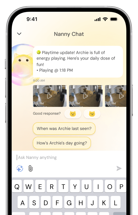 Furbo monitoring features